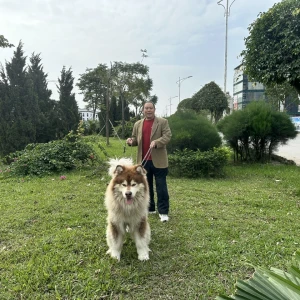 Hẹn hò kết bạn với Vũ Tiến, 58 tuổi, Thành phố Hà Nội, Tìm người yêu