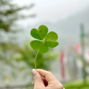 Hẹn hò kết bạn với Lương Minh Thu, 41 tuổi, Thành phố Hải Phòng, Tìm người yêu