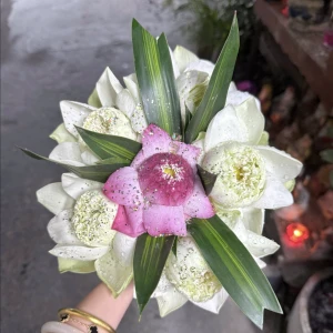 Hẹn hò kết bạn với Lê Hoài Thương, 21 tuổi, Tỉnh Ninh Thuận, Tìm người yêu