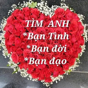 Hẹn hò kết bạn với Cù Thị Tuyết, 53 tuổi, Thành phố Hà Nội, Tìm bạn kết hôn