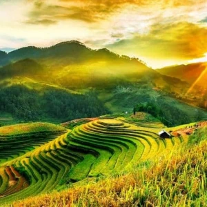 Hẹn hò kết bạn với Minh Hiền, 50 tuổi, Thành phố Hồ Chí Minh, 